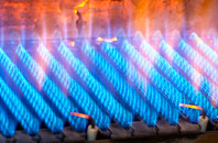Branton gas fired boilers